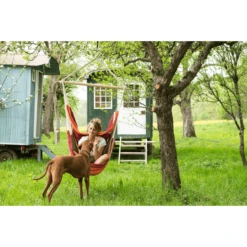 AMAZONAS Silla Colgante XL Brasil Acerola -Productos Para Bebes amazonas silla colgante xl brasil acerola a159253 4