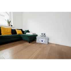 STORE !t Banco Con Separador, Koala -Productos Para Bebes store t banco con separador koala a368351 4